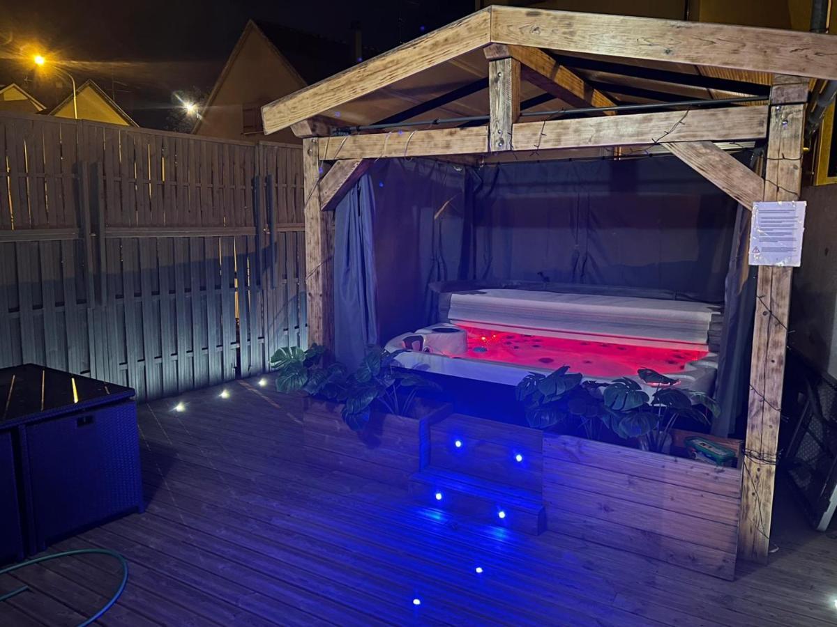 Maison Centre Ville Colmar Jacuzzi Jardin Et Climatisation Екстер'єр фото